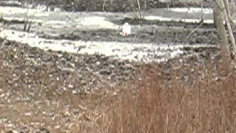 .30-06 vs star exploding target