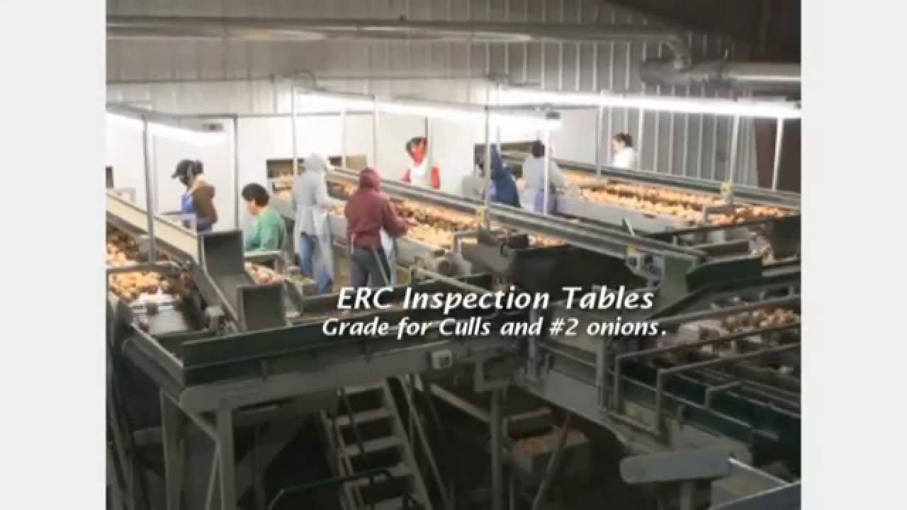 ONION TOPPER BY ERC IN PARTNERSHIP WITH WEENING BROTHERS MFG - YouTube