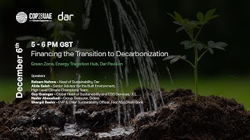 Financing the Transition to Decarbonization