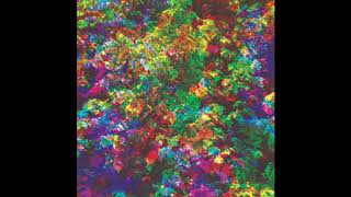 CARIBOU - Can't Do Without You (Extended Mix)