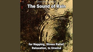 The Sound of Rain Pt. 16