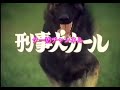 刑事犬カール オープニング曲