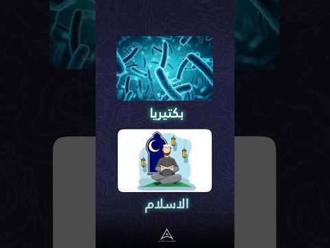 هل ممكن بكتيريا تدخل حد الاسلام اكسبلور Explore معلومات