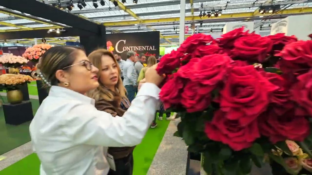 IFTF 2024 Aftermovie