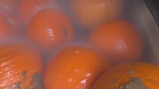 Vermont pumpkin patches bounce back in 2024