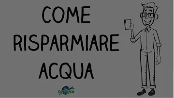 Come si fa a non sprecare l'acqua?