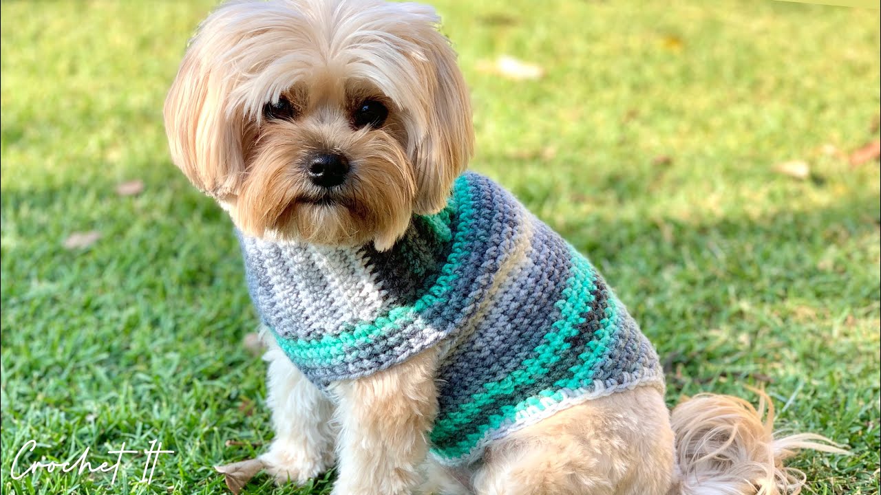 Quick and Easy Small Dog Crochet Sweater: Free Pattern