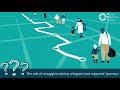 4Mi Interactive dashboard: explainer clip - smuggling