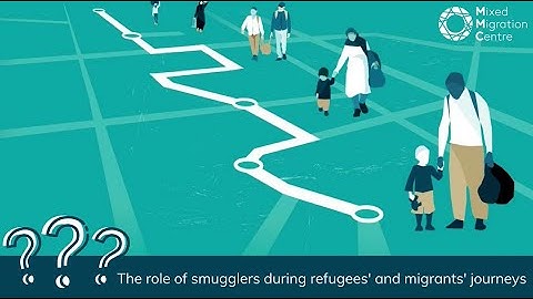 4Mi Interactive dashboard: explainer clip - smuggling