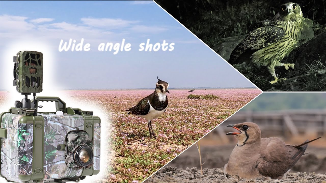 Seeing how images were captured by smart camera box. - YouTube