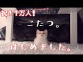はじめてのコタツにしらたま君の反応は…?