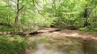 Buncombe Horse Trail Backpacking Trip