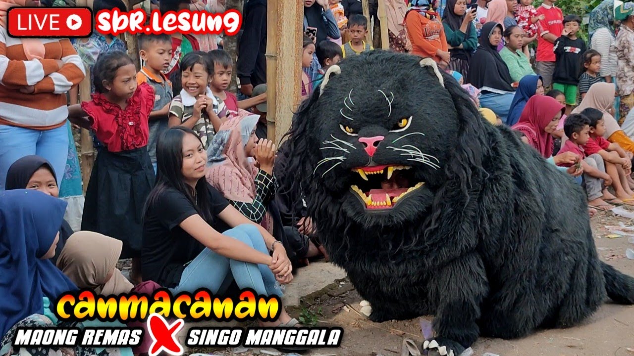 CAN MACANAN Maong Remas dan Singo Manggala tampil bareng di SUMBER LESUNG - lion dance