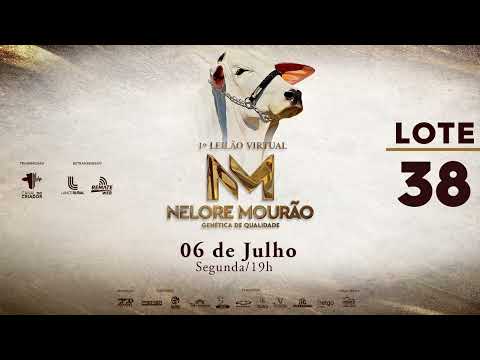 LOTE 38   MOR 132 155