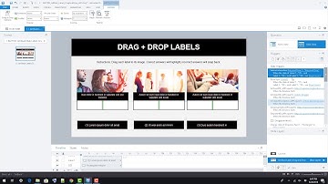 Storyline Styles: Labels Drag and Drop