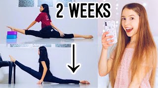 Reacting to your Flexibility Transformations! | Part 2