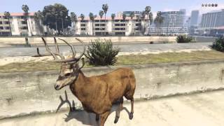 Turning into a animal (gta 5) Turning into a animal (gta 5)