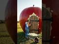 Amazing Giant Fruit House Transformation 🔥#apple #home #GiantFruitHouse​ #ViralVideo​