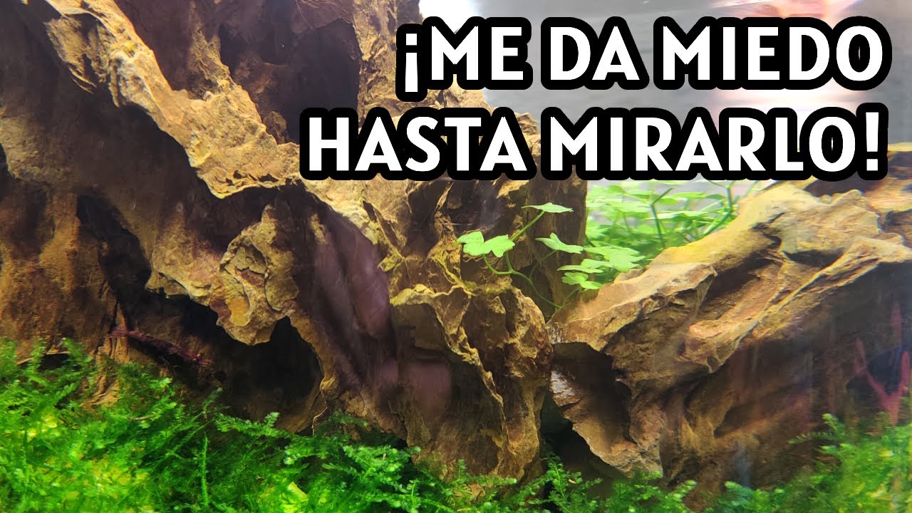 Repaso mensual al Nano Gambario #1