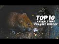 Top 10 Animals That Changed History