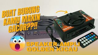 BUAT BURUNG KAMU MAKIN GACOR?!!! SPEAKER AMPLI BURUNG GOLDEN KICAU