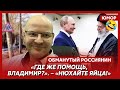 🤣Ржака. №488. Обманутый россиянин. Свиной апокалипсис, боевые ослы, пир на помойке