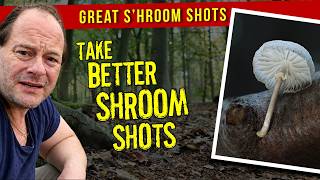 Hacks, tips and Gear for great Mushroom photography in the woods