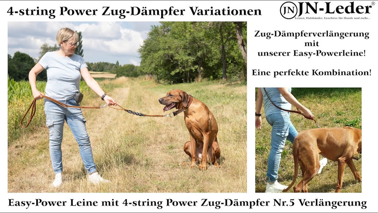 Kurze Hundeleine Aus Leder Mit Federdämpfer – 45 Cm, Cognac, Für Große Hunde, Spanisches Vollnarbenleder