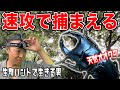 【オオクワガタ採集①】生物を捕まえるプロの昆虫採集方法をお見せします