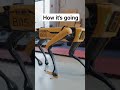 how it spot the next spot
