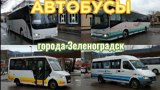 Сборник автобусов города Зеленоградск. Рейсовые автобусы, микроавтобусы и туристический