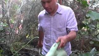 Water Your Vegetable Garden With The Water Genie - The Bottomless Watering Can