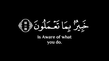 يا أيها الذين آمنوا اتقوا الله | سالم الرويلي كرومات قرآن شاشة سوداء سورة الحشر كروما ايات قرانية