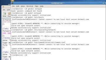 Configurar Servidor DNS en centos 5.5