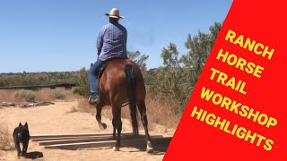 🟡 RANCH HORSE TRAIL WORKSHOP HIGHLIGHTS