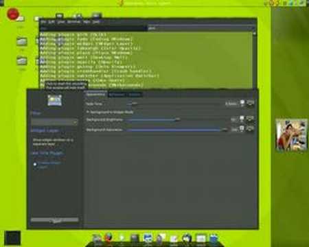 Compiz Fusion, Widget Layer and Screenlets