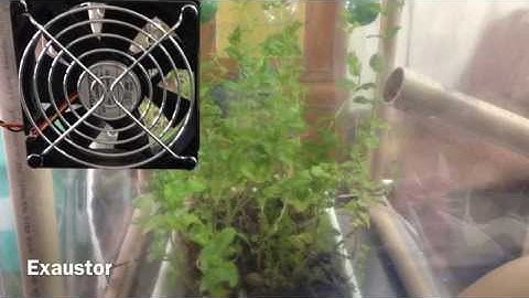 Estufa doméstica - Arduino