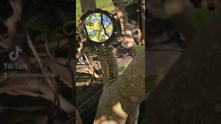 Graceful Reflections Hand Mirror With Hand Embroidered Vintage-Style Dimensional Design Oranges