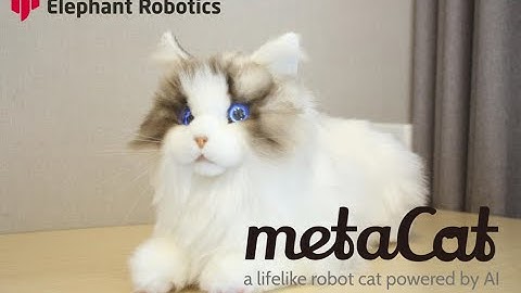 metaCat | An interactive pet cat which can provide a better quality life.