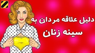 دلیل علمی علاقه مردان به سینه زنان