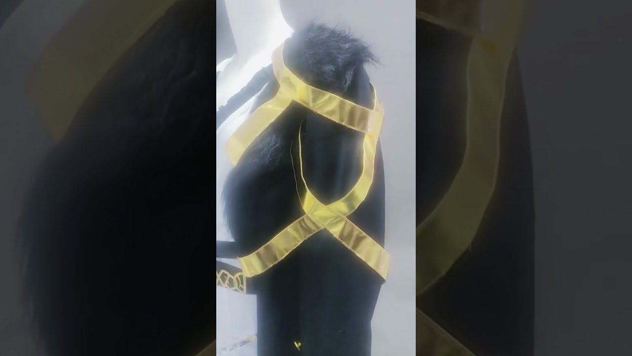 Path to Nowhere Chameleon Cosplay, do you like it?