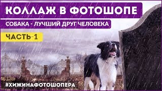 Коллаж в Фотошопе. Собака - лучший друг человека. Часть-1 | Уроки Фотошопа #15 Коллаж в Фотошопе. Собака - лучший друг человека. Часть-1 | Уроки Фотошопа #15