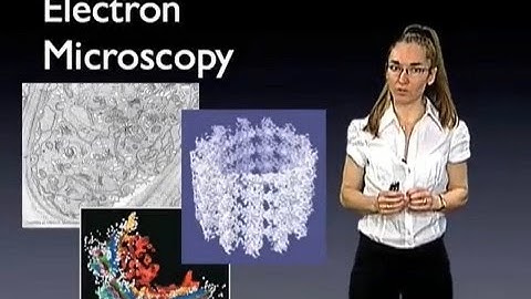 Eva Nogales (UC Berkeley): Introduction to Electron Microscopy