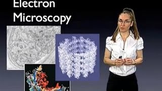 Eva Nogales UC Berkeley: Introduction to Electron Microscopy