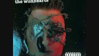 Watch Wildhearts Drinking About Life video