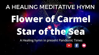 FLOWER OF CARMEL, STAR OF THE SEA! A HEALING HYMN (with Lyrics) screenshot 3