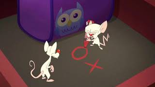 Famous The Brain’s Plan. (Animaniacs Reboot) Net Worth