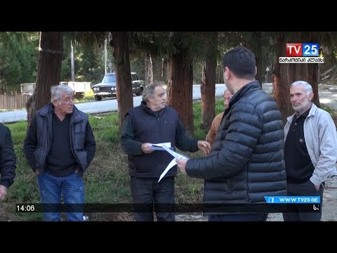 თხილნარში მცხოვრებლები აჭარის მთავრობის თავჯდომარეს ტყუილში ადანაშაულებენ