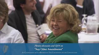 2014.02.23 Convention on the Constitution. Plenary Session and Q\&A on 'Any Other Amendments'
