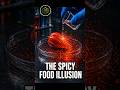 Why Water Makes Spicy Food WORSE
